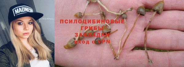 ГАЛЛЮЦИНОГЕННЫЕ ГРИБЫ Абинск