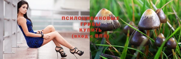 амф Абдулино
