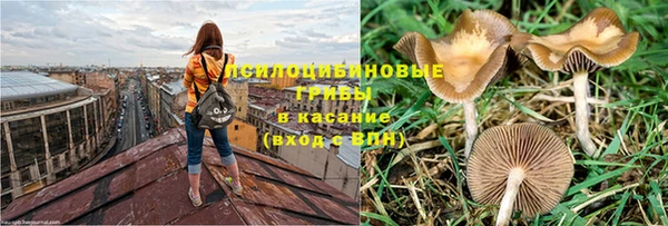 амф Абдулино