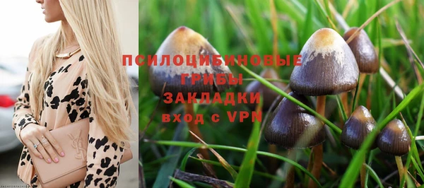 ГАЛЛЮЦИНОГЕННЫЕ ГРИБЫ Абинск