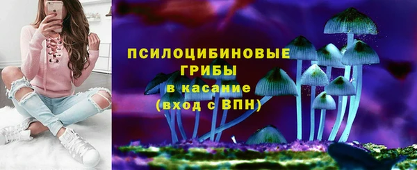 ГАЛЛЮЦИНОГЕННЫЕ ГРИБЫ Абинск