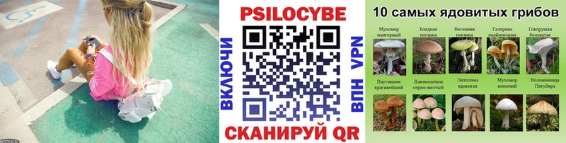 Галлюциногенные грибы GOLDEN TEACHER  Шилка 